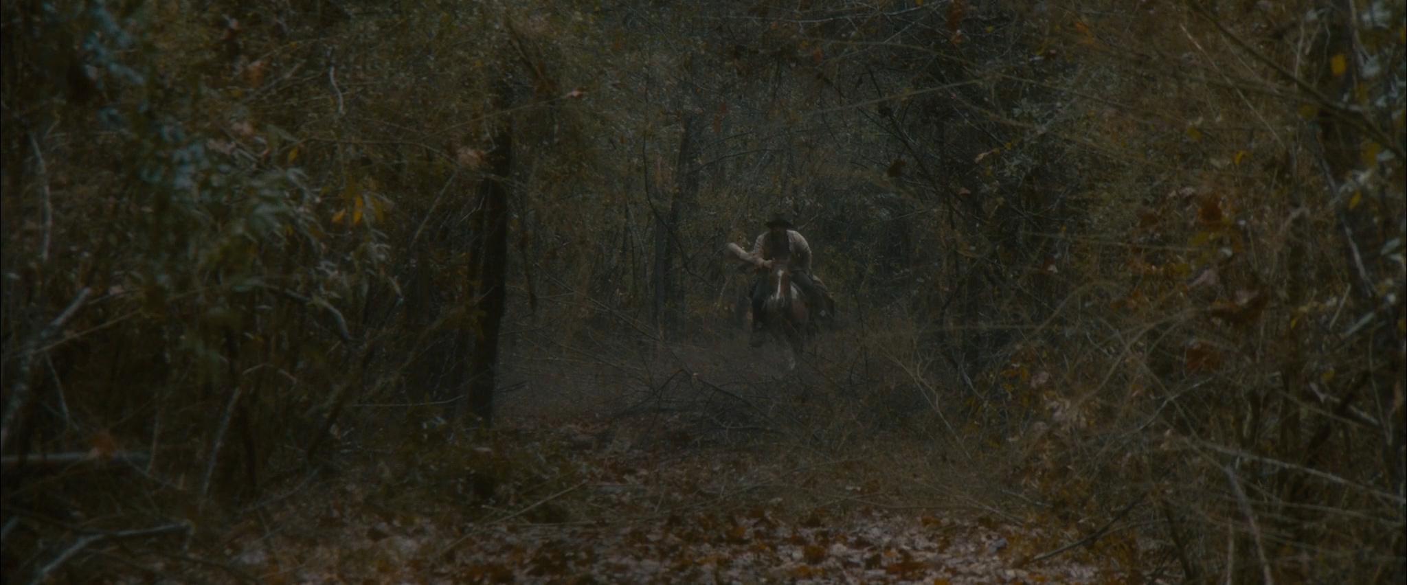 actor Beau Hale large photo