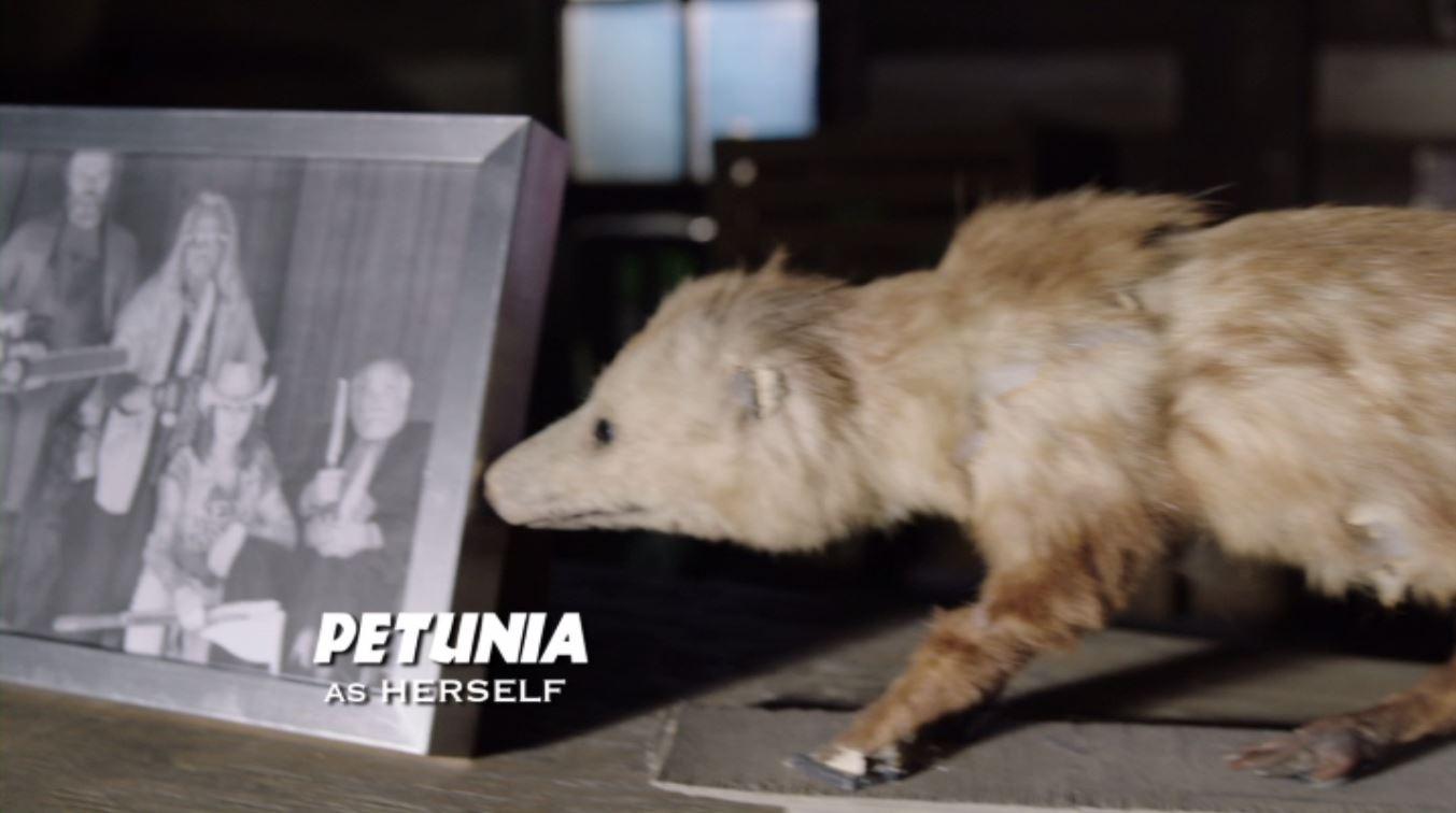 actor Petunia large photo