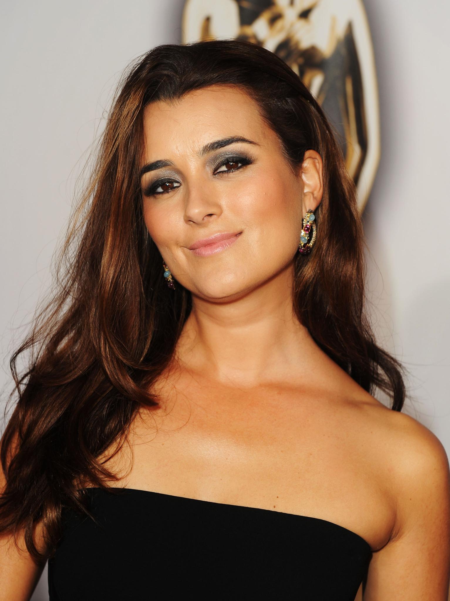 actor Cote de Pablo large photo