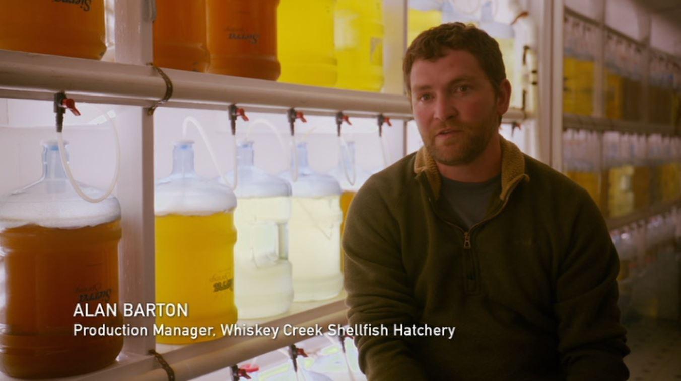 actor Alan Barton large photo