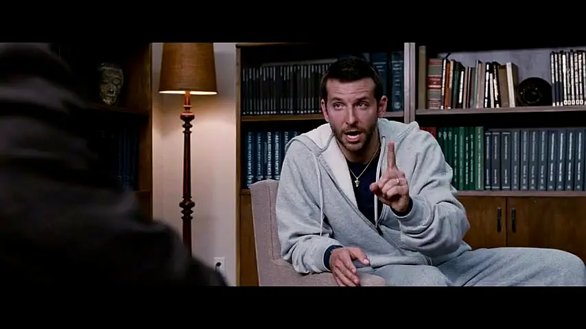 Silver Linings Playbook