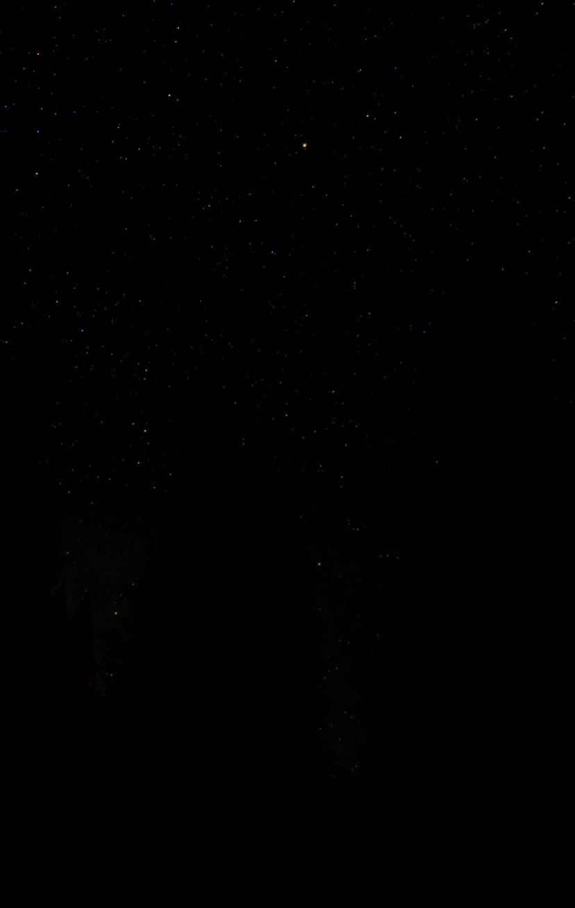 actor Samantha Cocozza large photo