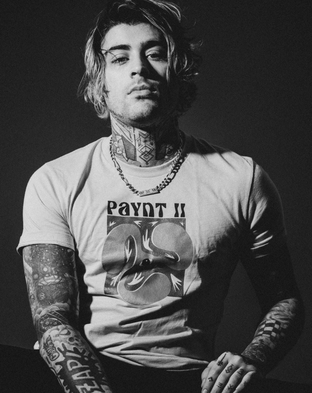 actor Zayn Malik large photo