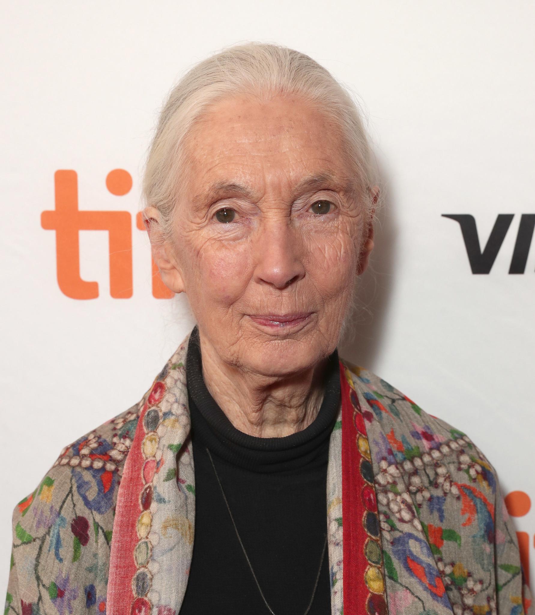 actor Jane Goodall large photo