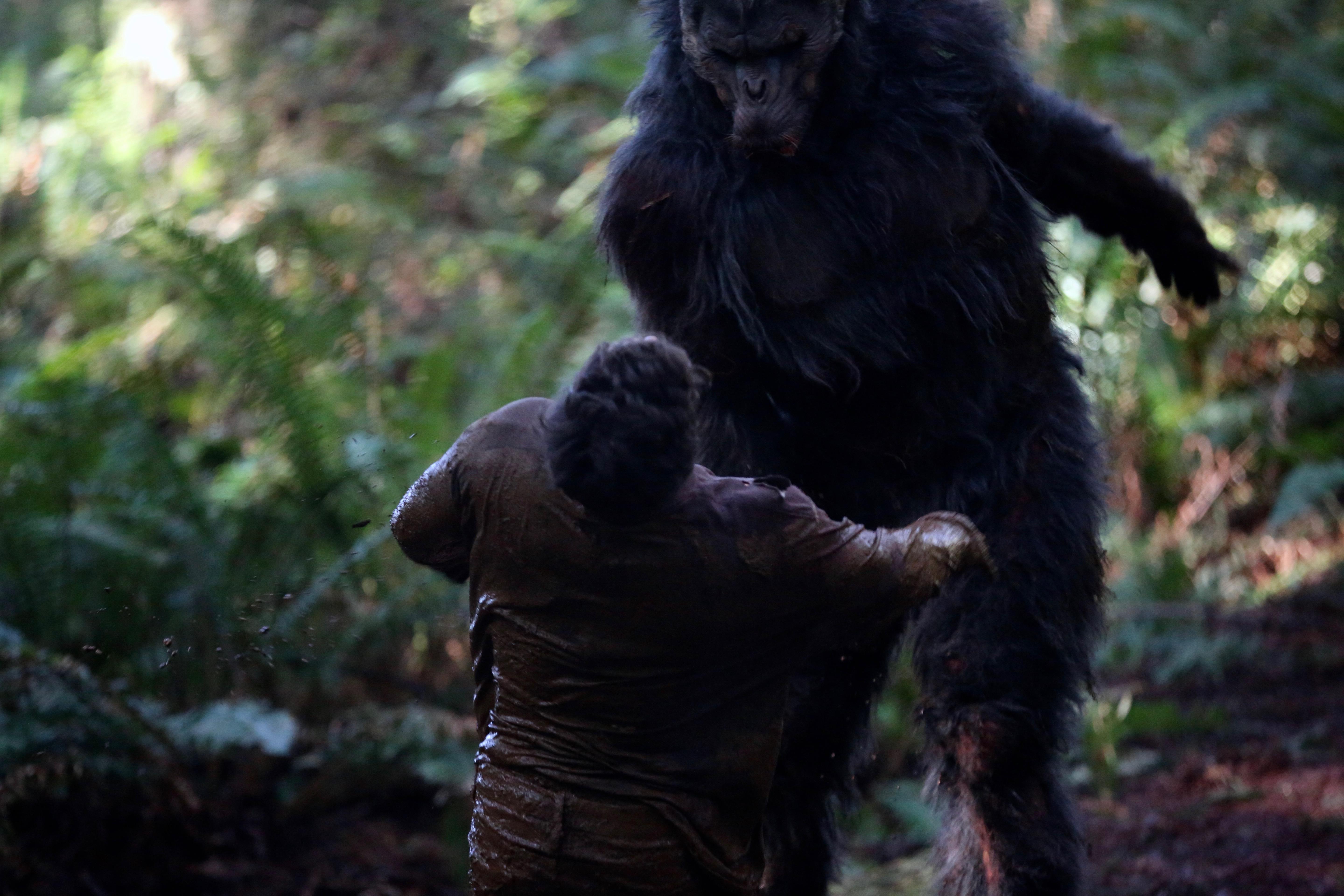 actor Andrew Joseph Montgomery large photo
