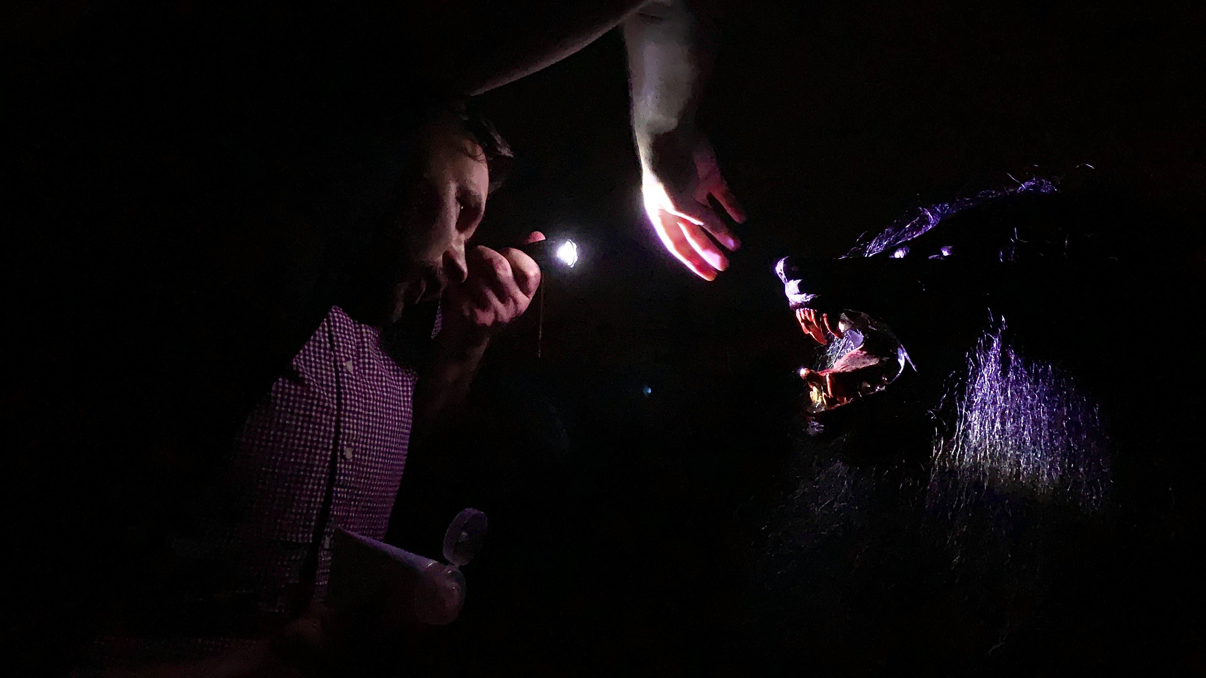 actor Buz Wallick large photo