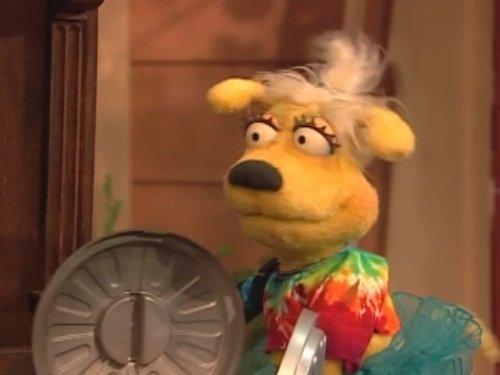 actor Pam Arciero large photo