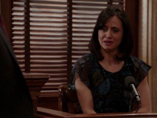 actor Robyn Rikoon large photo