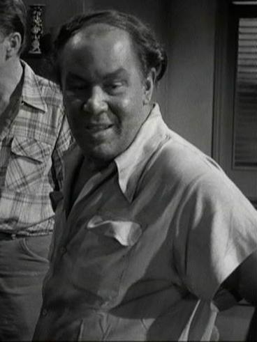 actor Steven Scott large photo