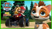 PAW Patrol CAT Pack Episodes!
