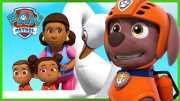 PAW Patrol Season 8 - Rescue Knights, Sea Patrol, and Cats!