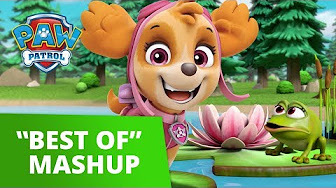 All Time Best PAW Patrol Rescue Episodes - Mighty Pups, Moto Pups, Dino Rescue, Ultimate Rescue