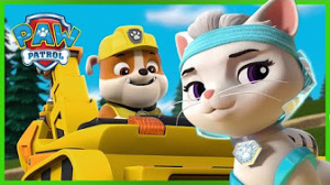 What's New on PAW Patrol! | Cartoon for Kids