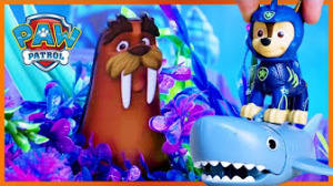 PAW Patrol | Toy Play for Kids