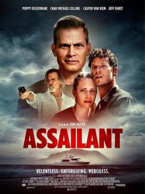 Assailant [Hindi]