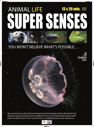 Super Senses [Russian]