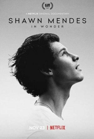 Shawn Mendes: In Wonder [Russian]