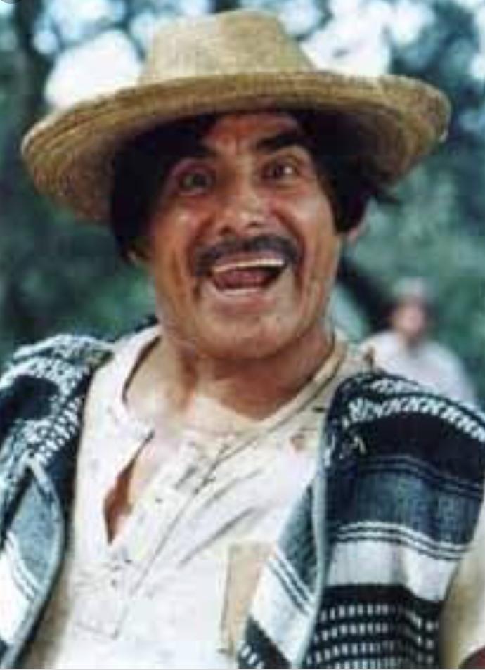 actor Héctor Suárez large photo