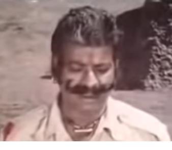 actor Bihari large photo