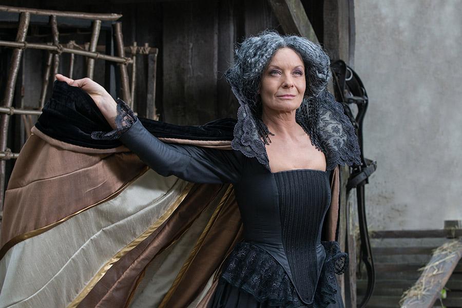 actor Vilma Cibulková large photo