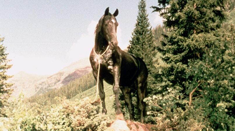 actor Highland Dale large photo