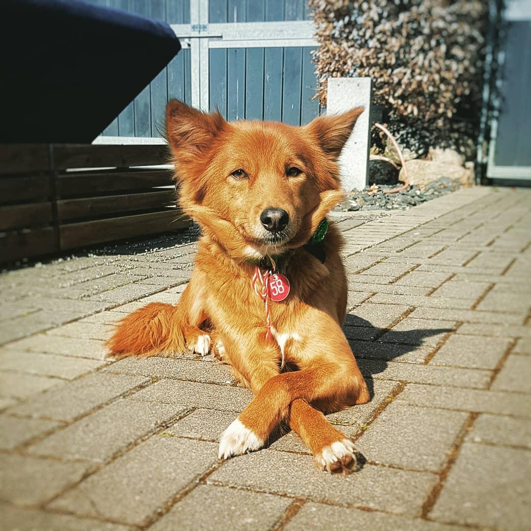 actor Fufu large photo