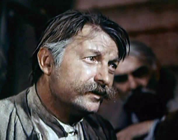 actor Georgiy Vitsin large photo