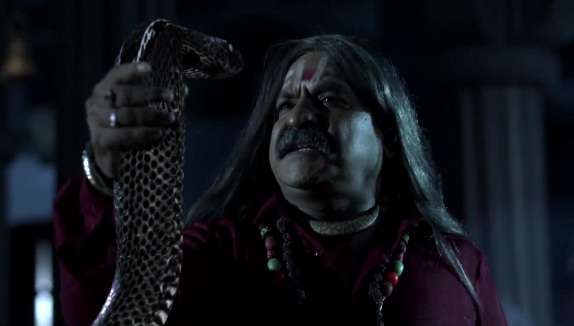 actor Rajeev Saxena large photo