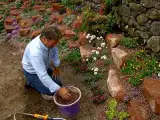 Alan Titchmarsh