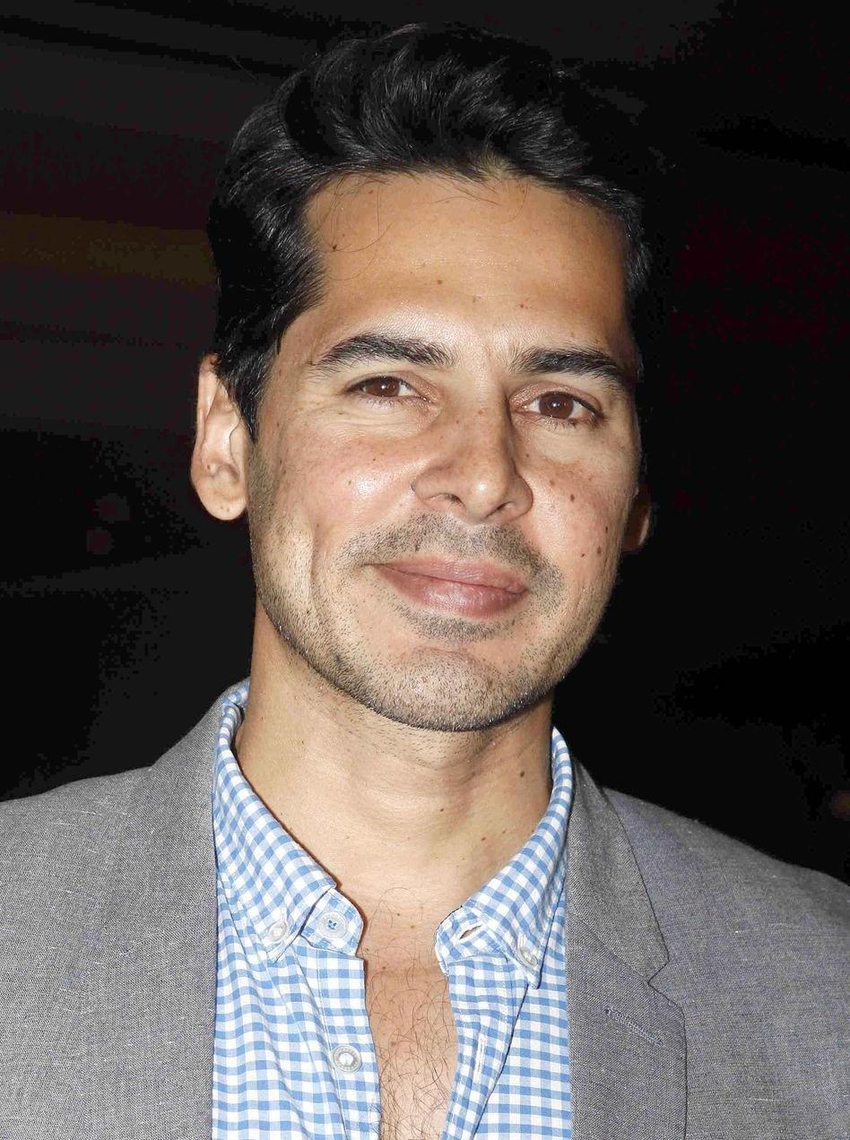 actor Dino Morea large photo