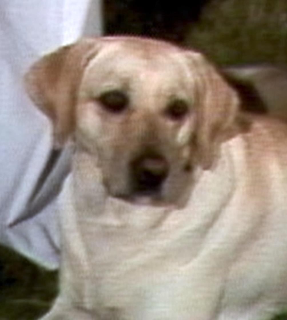 actor Bertha large photo