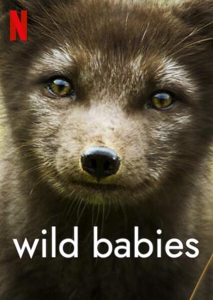 Wild Babies [Version française]