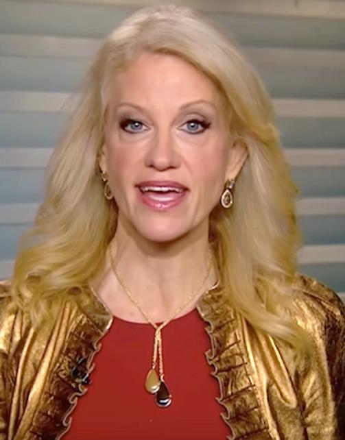actor Kellyanne Conway large photo