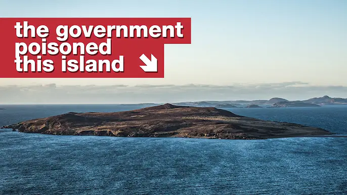 The Mystery of Anthrax Island