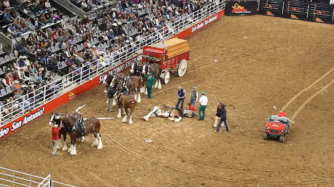 Clydesdale: Saving the Greatest Horse