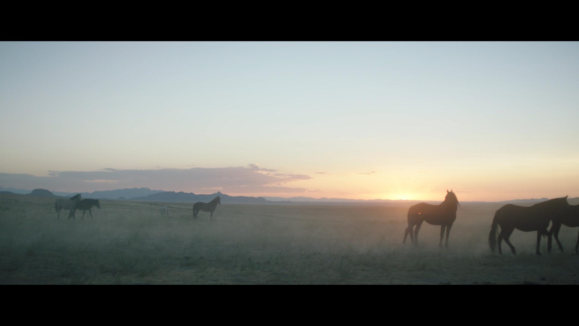 Wild Beauty: Mustang Spirit of the West