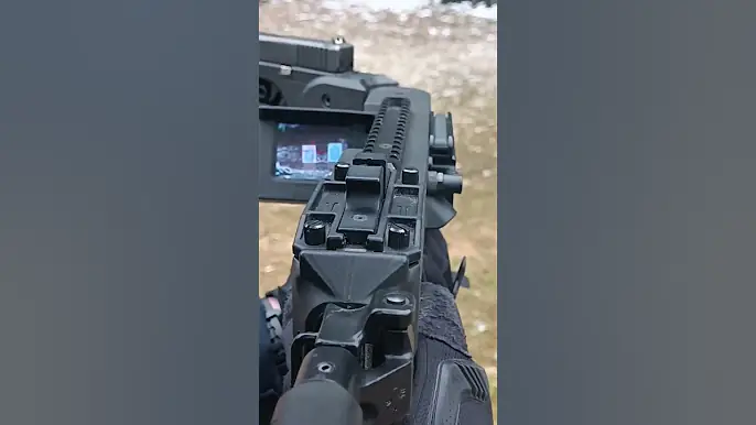 Professional Soldier