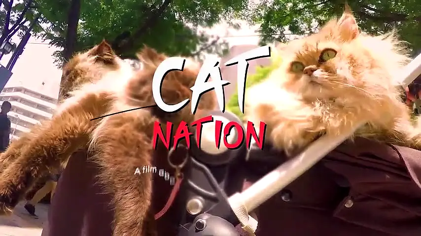 Cat Nation: A Film About Japan's Crazy Cat Culture