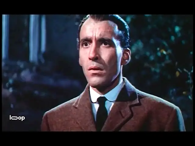The Hound of the Baskervilles