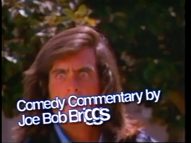 Samurai Cop