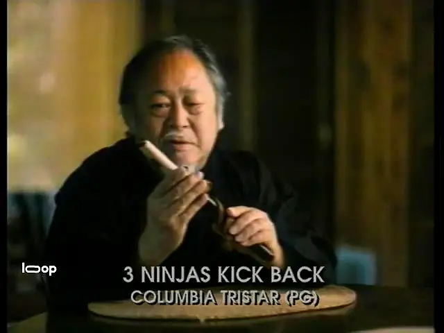 3 Ninjas Kick Back