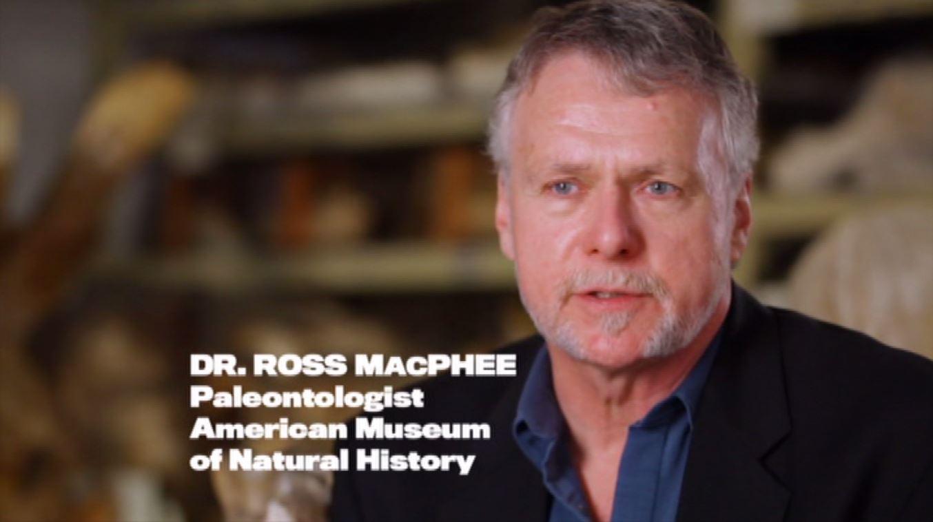 actor Ross MacPhee large photo