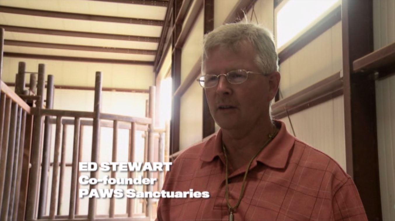 actor Ed Stewart large photo