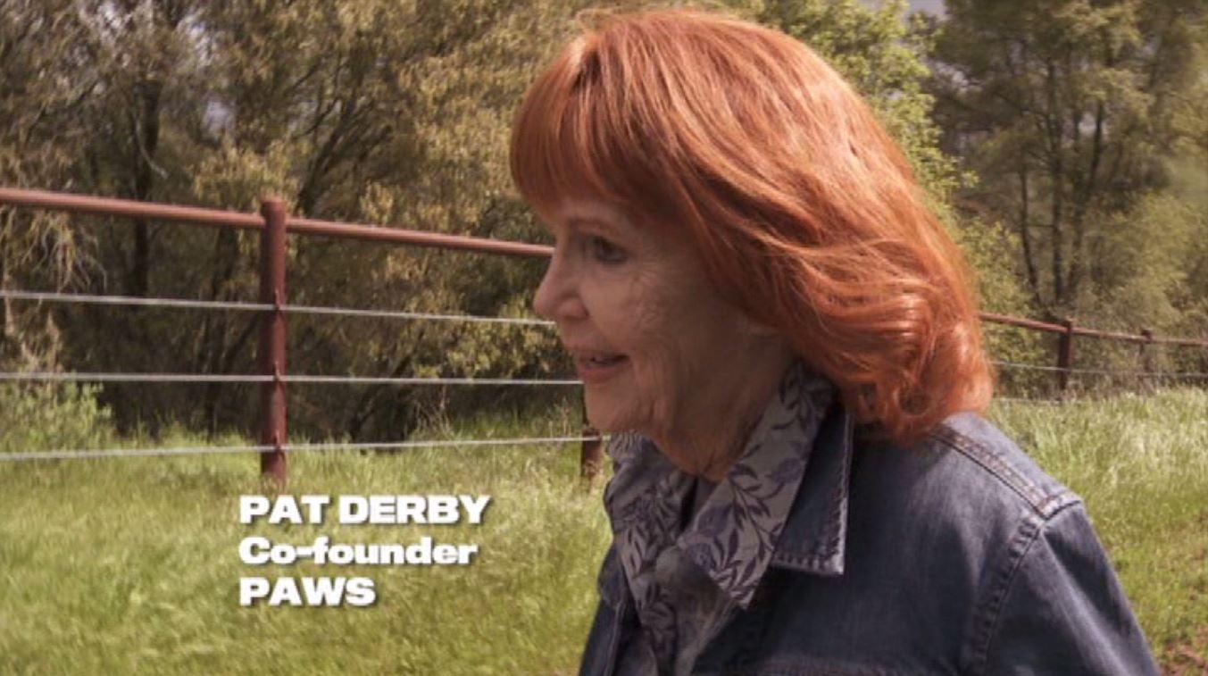 actor Pat Derby large photo