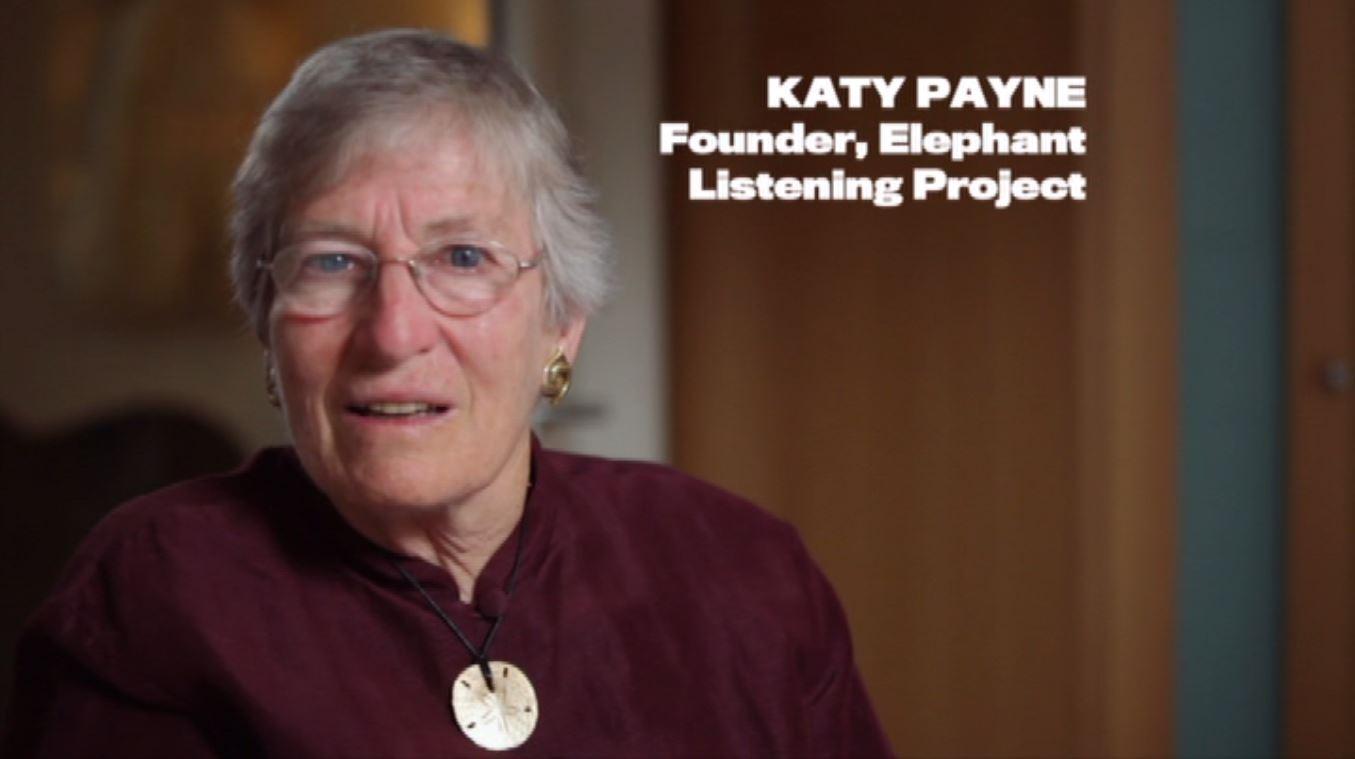 actor Katy Payne large photo