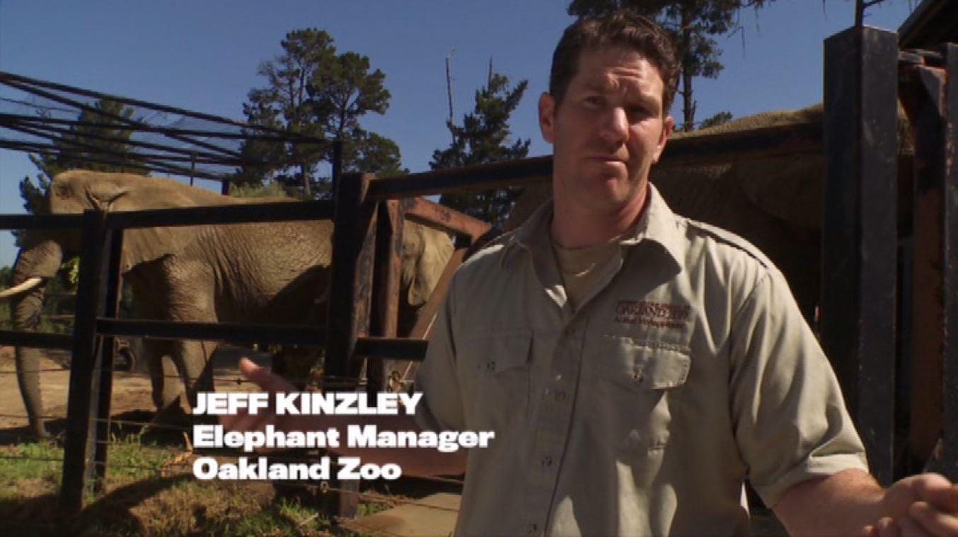 actor Jeff Kinzley large photo