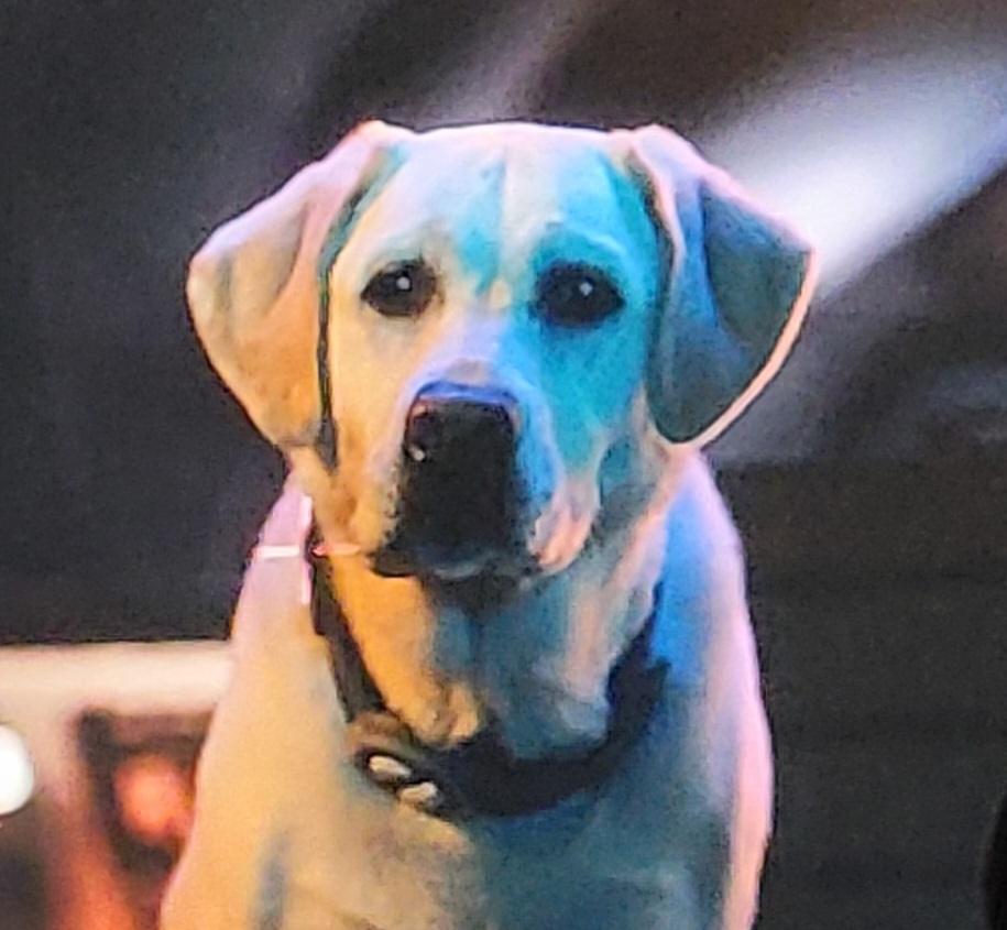 actor Parker large photo