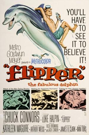 Flipper [Version française]