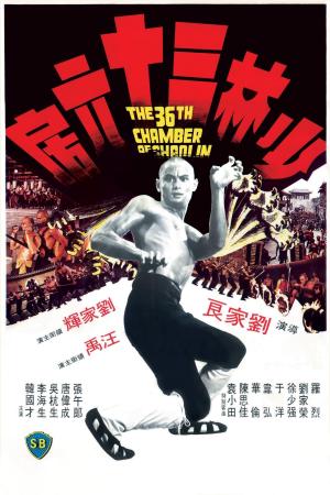 The 36th Chamber of Shaolin [Version française]