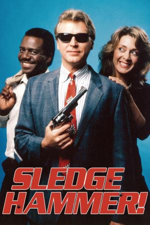 Sledge Hammer! [SpanishLatam] S1-S2